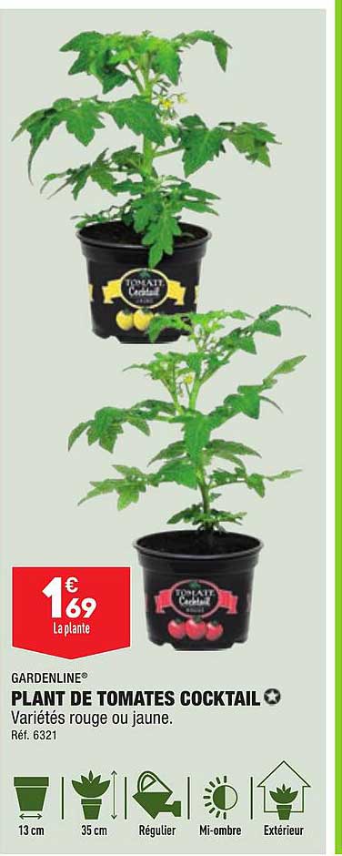 plant de tomates cocktail gardenline