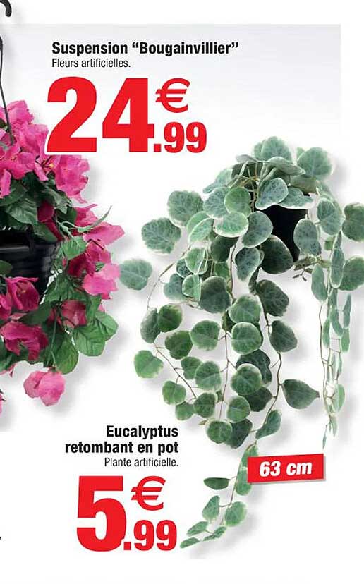 suspension "bougainvillier", eucalyptus retombant en pot