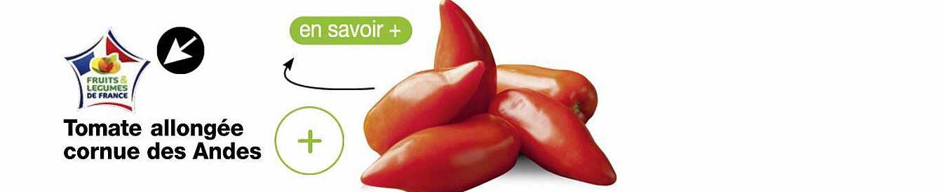 tomate allongée cornue des andes