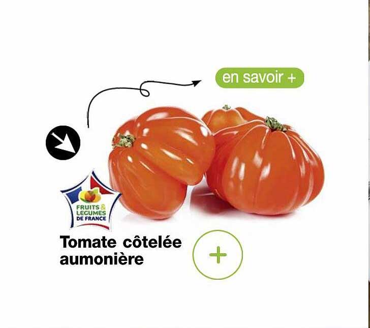 tomate côtelée aumonière