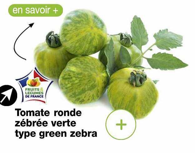 tomate ronde zébrée verte type green zebra