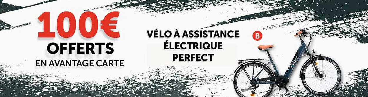 vélo à assistance électrique perfect