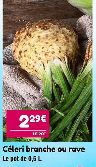 céleri branche ou rave