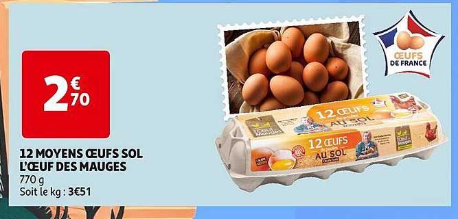 12 Moyens œufs Sol L'œuf Des Mauges