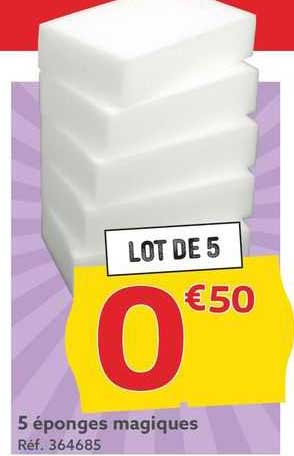 5 éponges magiques