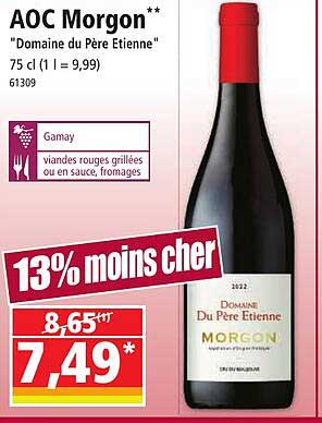 aoc morgon "domaine du père étienne"
