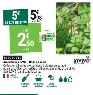 aromatiques invivo nous on sème