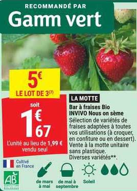 bar à fraises bio invivo nous on sème
