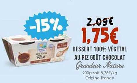 dessert 100% végétal au riz goût chocolat grandeur nature