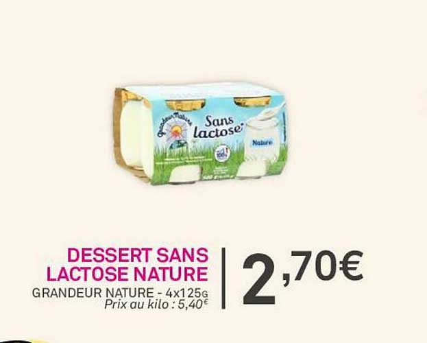 dessert sans lactose nature grandeur nature