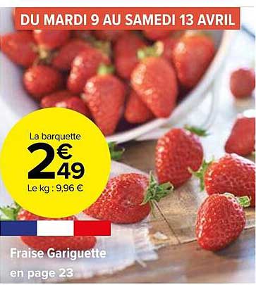 fraise gariguette