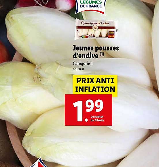 jeunes pousses d'endive