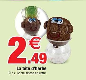 la tête d'herbe