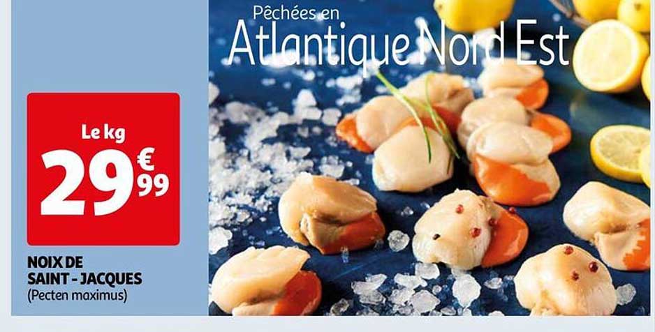 noix de saint-jacques