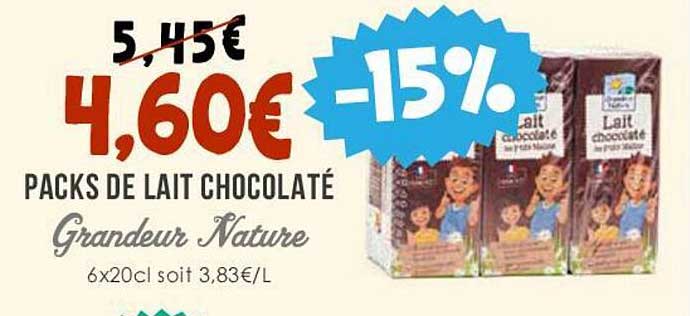 packs de lait chocolaté grandeur nature