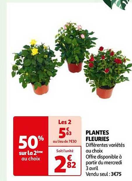 plantes fleuries