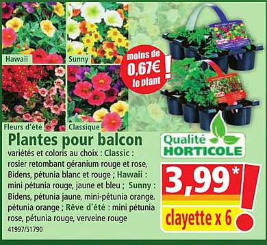 Plantes Pour Balcon