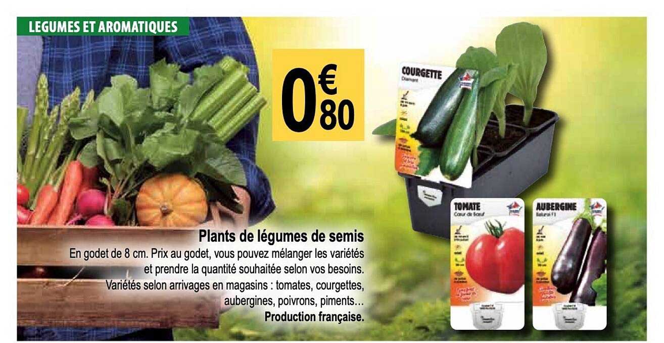 plants de légumes de semis