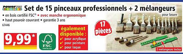 Set De 15 Pinceaux Professionnels + 2 Mélangeurs Pour Lasure Powertec Color