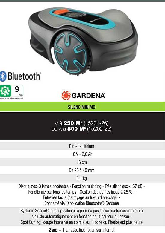 sileno minimo gardena