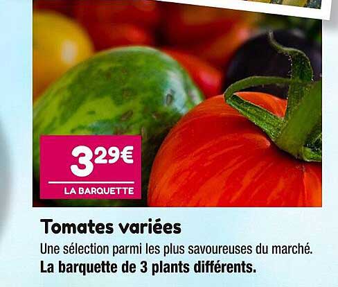 tomates variées