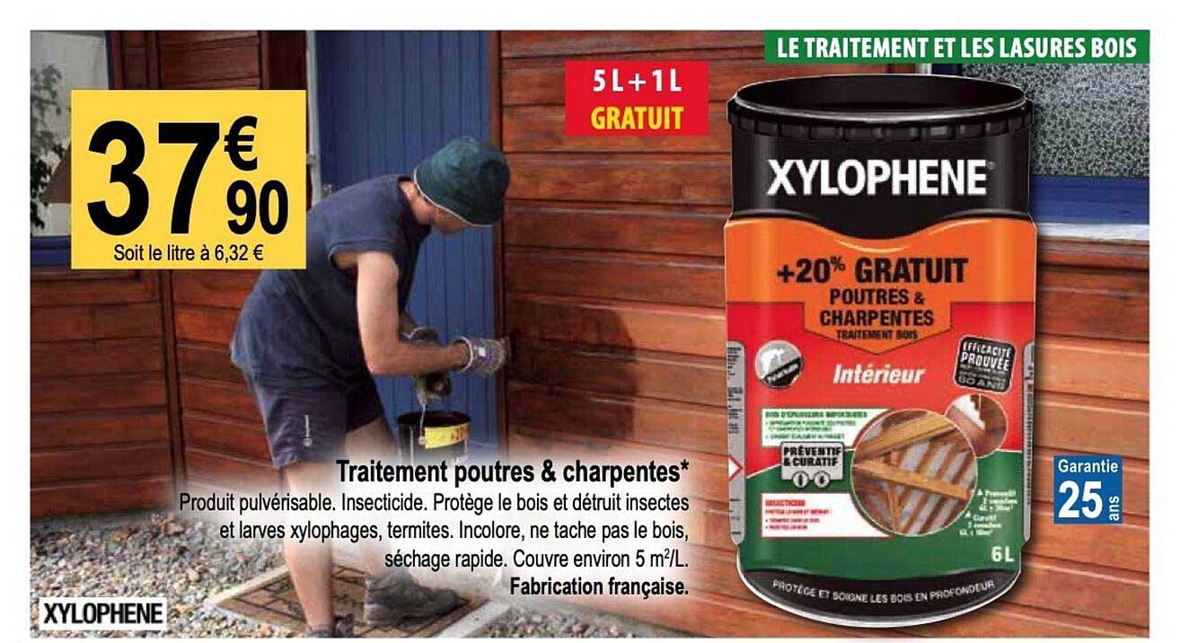 traitement poutres & charpentes