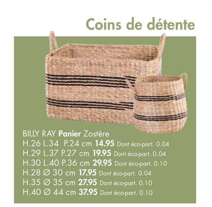 panier zostère billy ray