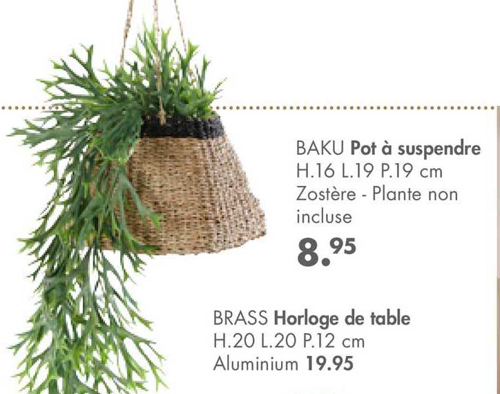 pot à suspendre baku