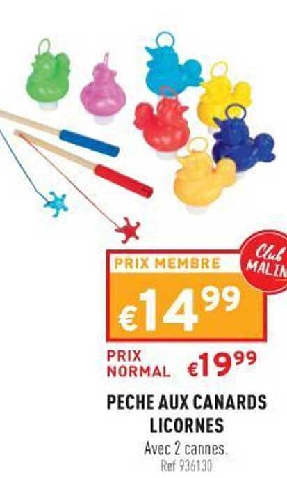 pêche aux canards licornes
