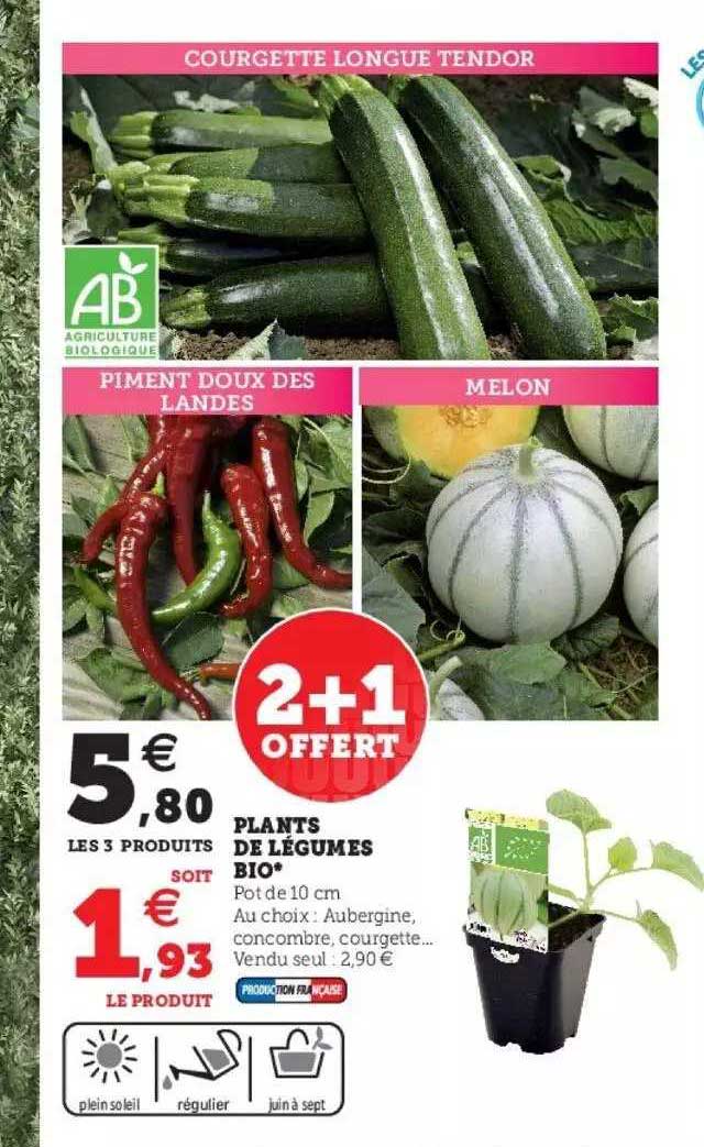 plants de légumes bio