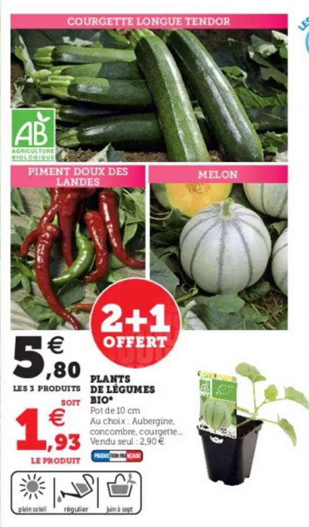 plants de légumes bio