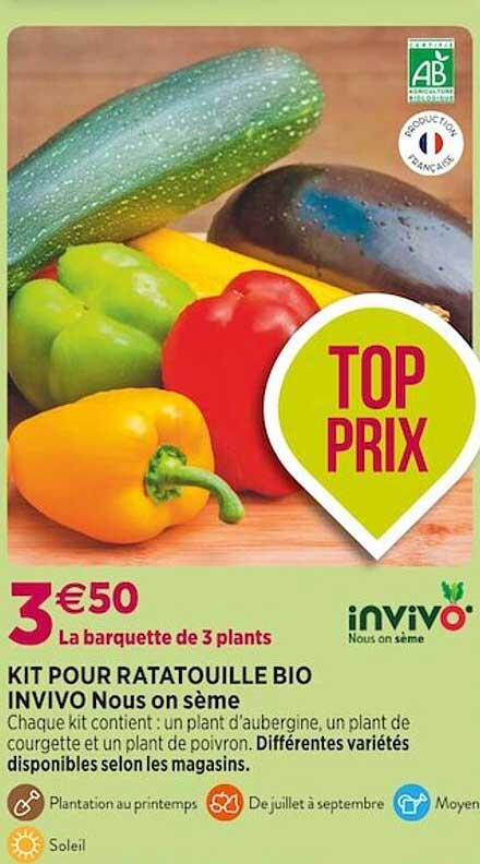 kit pour ratatouille bio invivo nous on sème