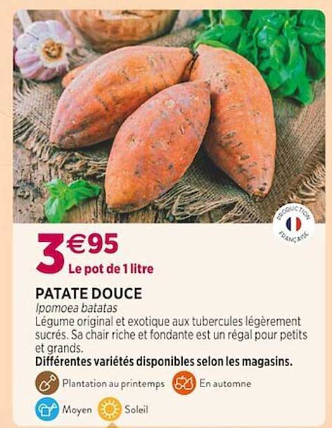 Patate Douce