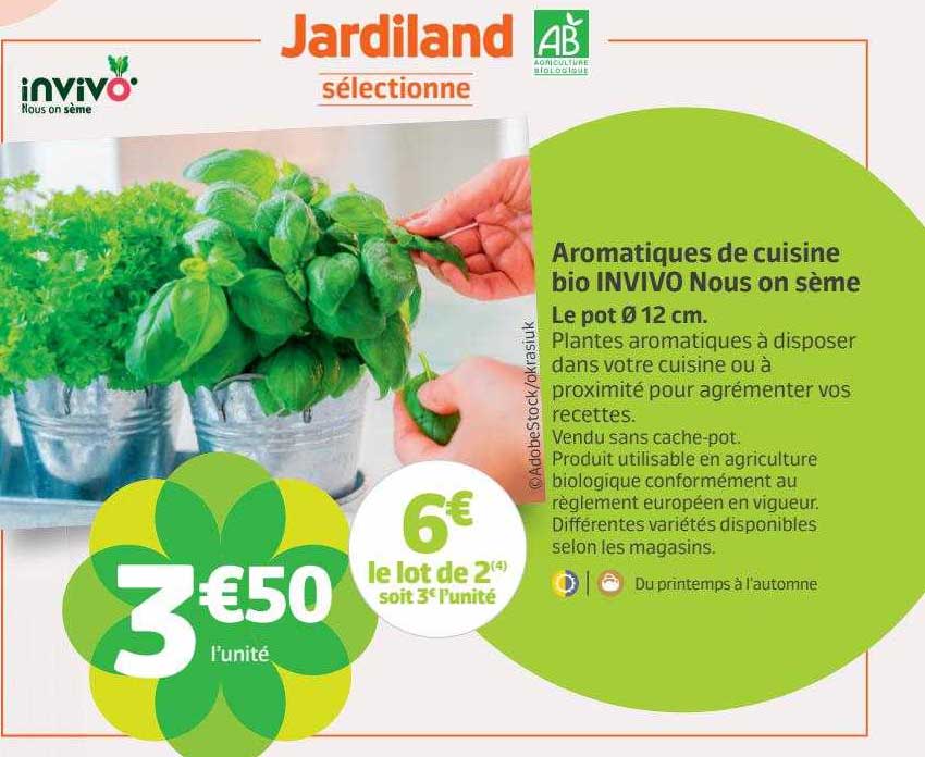 aromatiques de cuisine bio invivo nous on sème