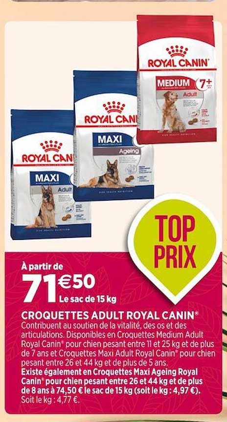 croquettes adult royal canin