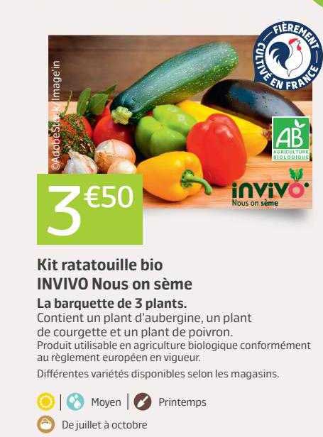 kit ratatouille bio invivo nous on sème