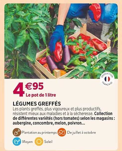 légumes greffés