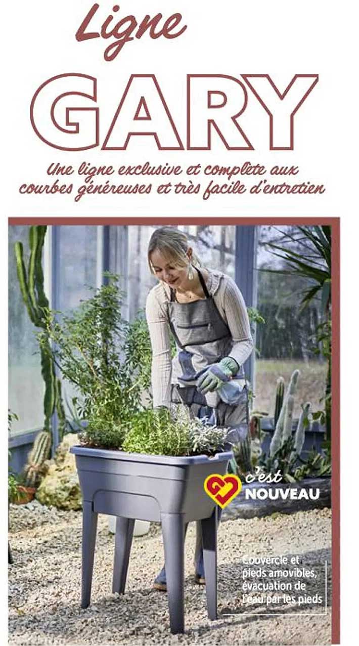 ligne gary