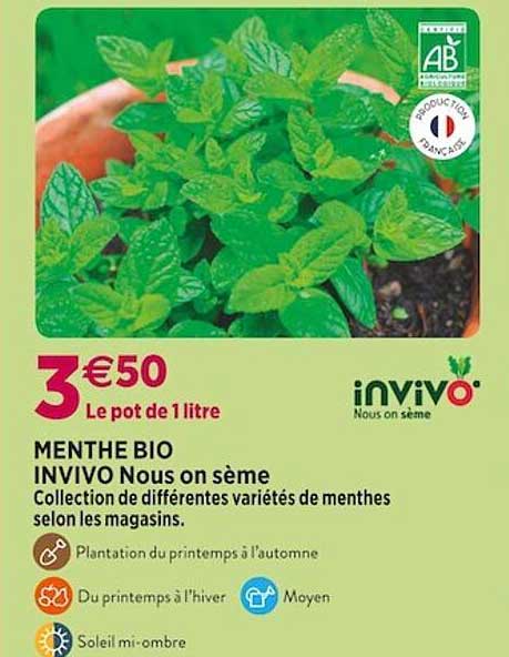 menthe bio invivo nous on sème