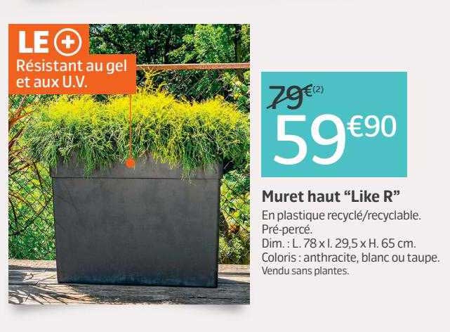 muret haute "like r"