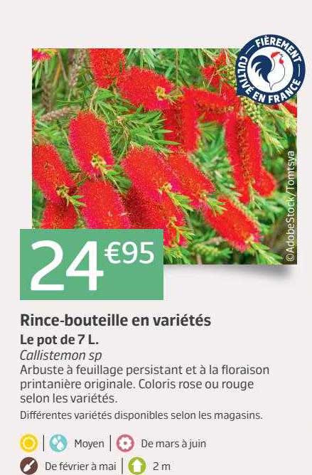 rince-bouteille en variétés