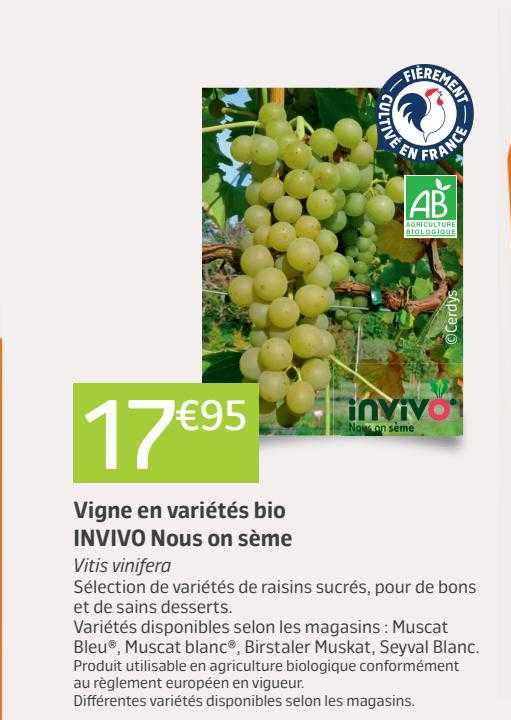 vigne en variétés bio invivo nous on sème