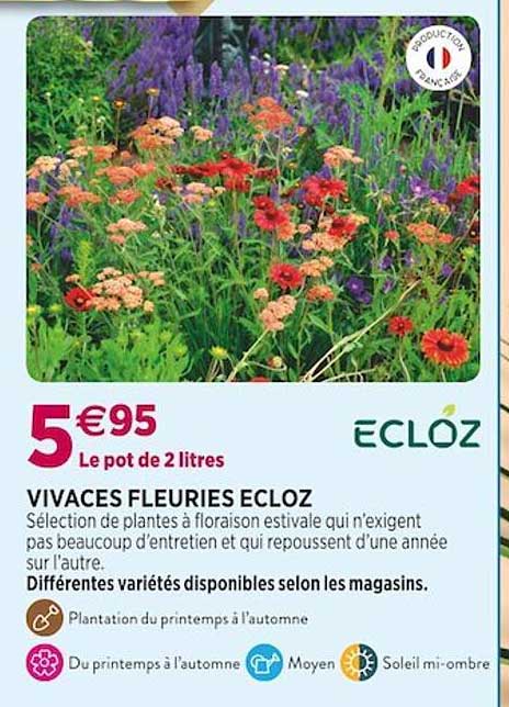 vivaces fleuries ecloz