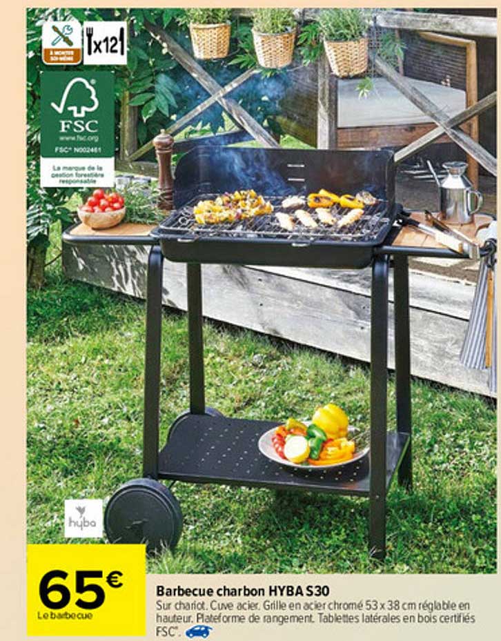 Barbecue Charbon Hyba S30