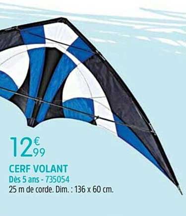 cerf volant