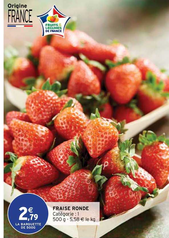 Fraise Ronde