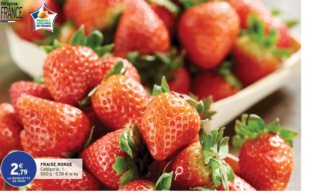 Fraise Ronde