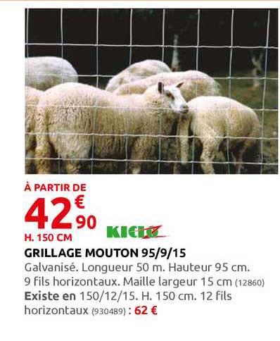 grillage mouton