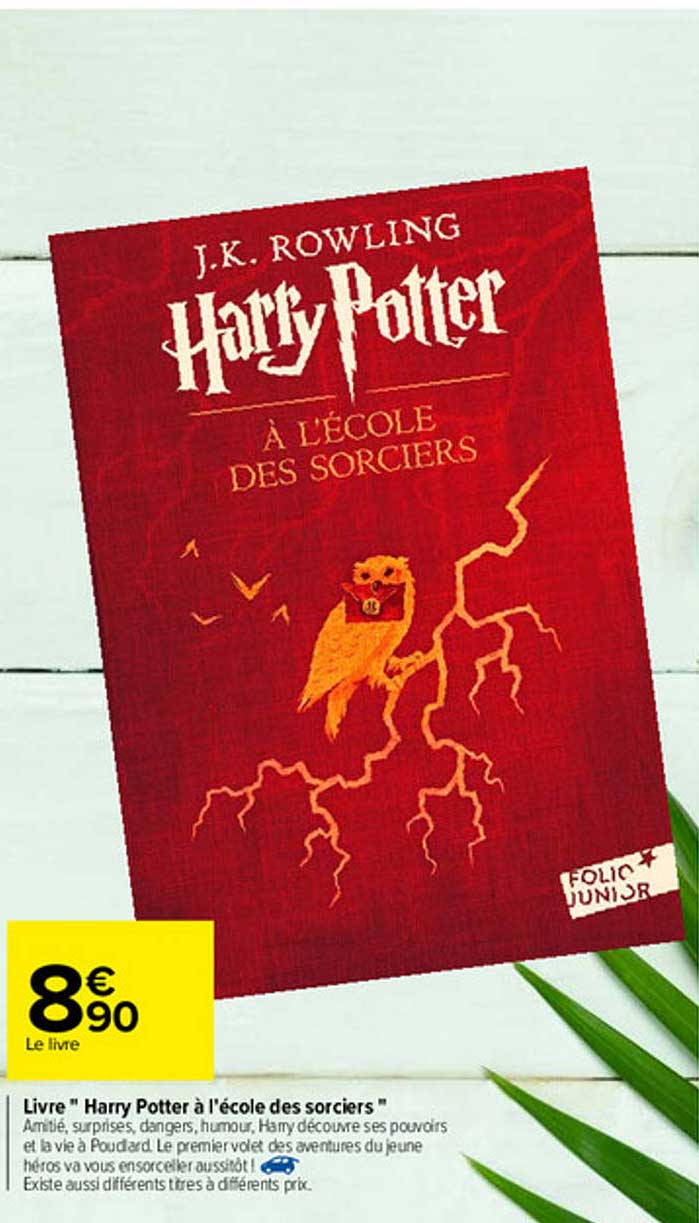 livre "harry potter à l'école des sorcièrs"