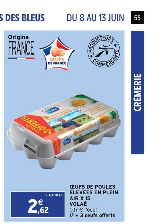 oeufs de poules élevées en plein air x15 volaé